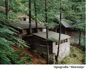 immagine articolo