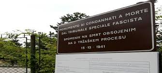 immagine articolo